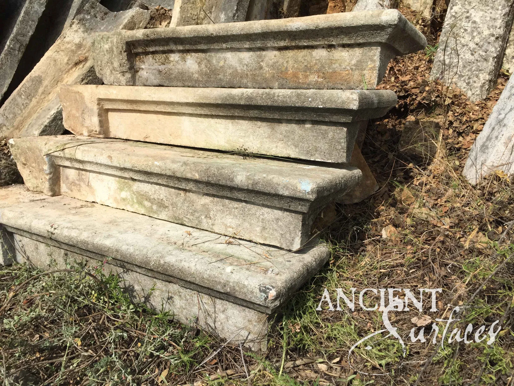 Four reclaimed antique limestone steps from Ancient Surfaces in the stoneyard, each worked with a fine torus roll and recessed fillet along the front edge, silver grey with lichen and lying among dry leaves